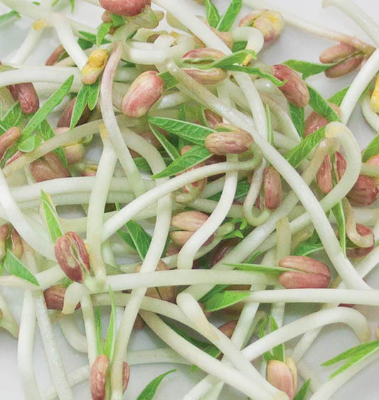 Mung Beans Certified Organic