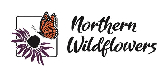 Northern Wildflowers