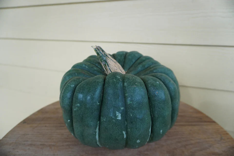 Pumpkin, Jade Knight F1