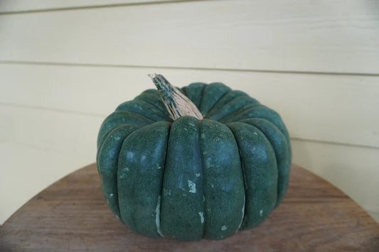 Pumpkin, Jade Knight F1