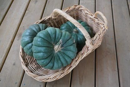 Pumpkin, Jade Knight F1