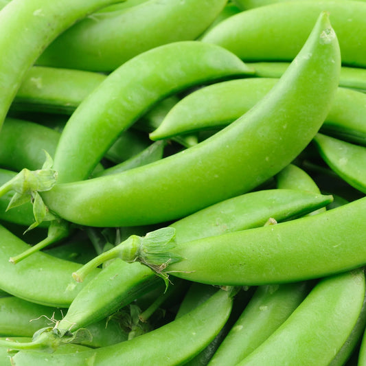 Peas, Sugar Snap (organic)