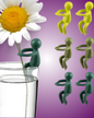 Plant Propagation Buddy - Plant Cutting Holder