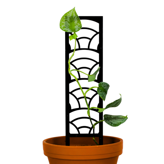 Rainbow Wooden Trellis