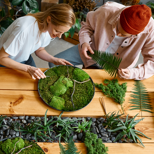 Premium Preserved Reindeer Moss