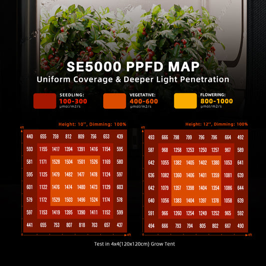 SE5000 480W LED Grow Light Dimmable Samsung LM301H EVO with Bluetooth & WiFi Smart APP Control for Indoor Grow