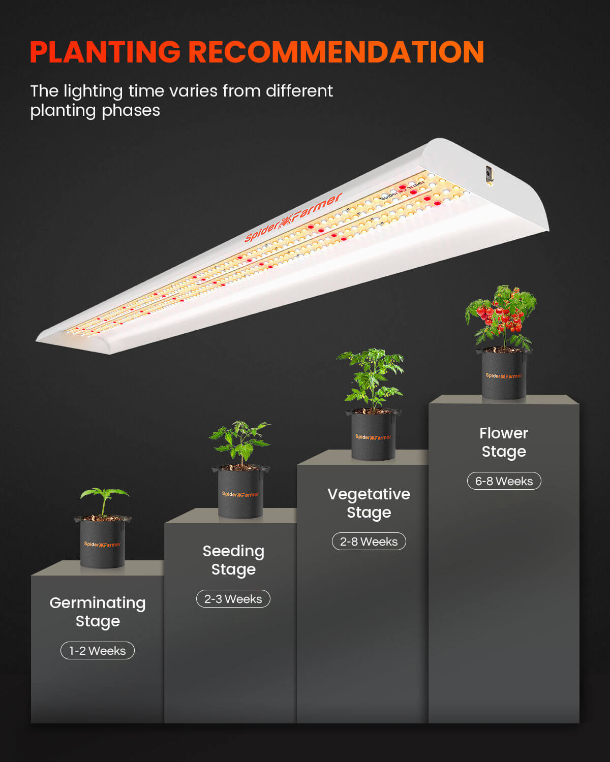 SF600 74W Full Spectrum LED Grow Light for indoor garden Hydroponics Grow
