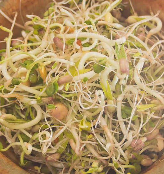 Salad Mix Certified Organic