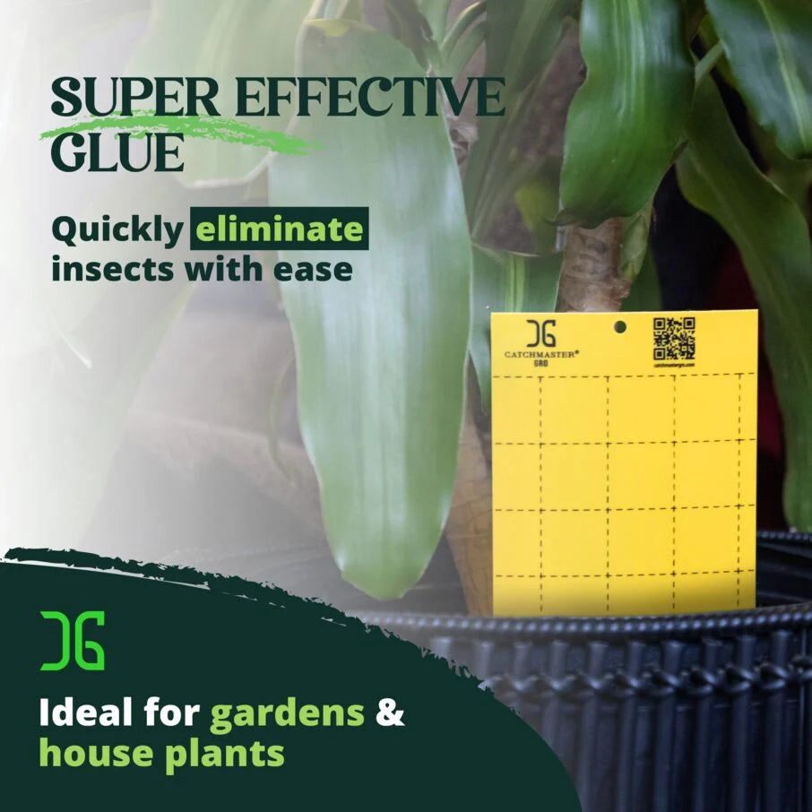 Insect Traps, Double-Sided Sticky Card, Yellow