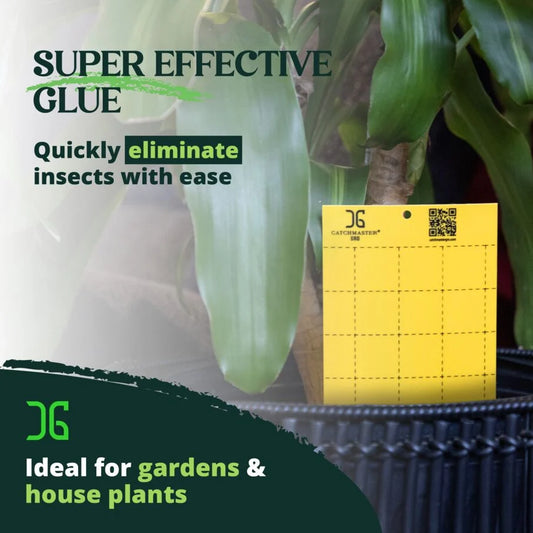 Insect Traps, Double-Sided Sticky Card, Yellow