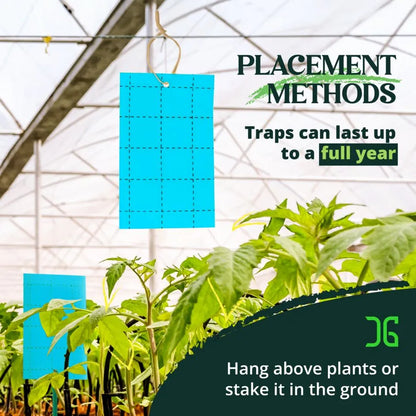 Insect Traps, Pest Monitors , Double-Sided Sticky Card, Blue