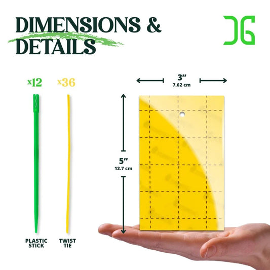 Insect Traps, Double-Sided Sticky Card, Yellow