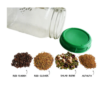 Sprouting Seeds - Fantastic Four Seed Collection Certified organic
