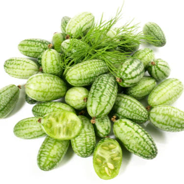 Cucumber Sour Gherkin