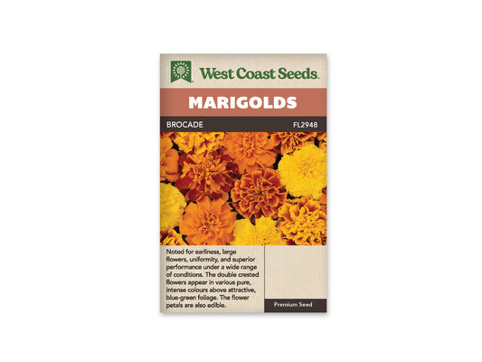 Marigolds - Brocade