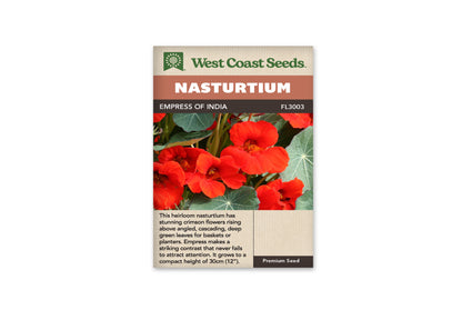 Nasturtiums - Empress of India