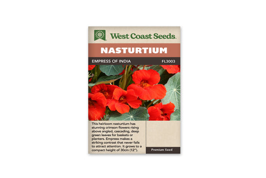 Nasturtiums - Empress of India