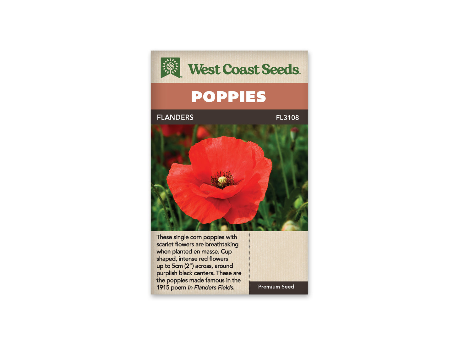 Poppies - Flanders Poppy