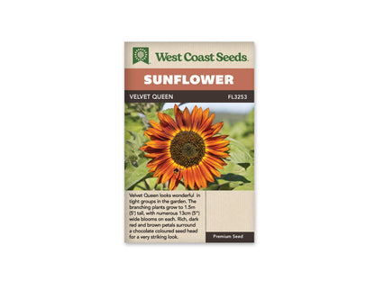 Sunflowers - Velvet Queen