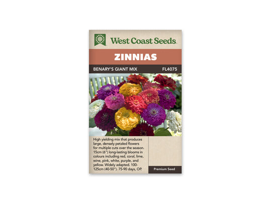 Zinnia - Benary's Giant Mix