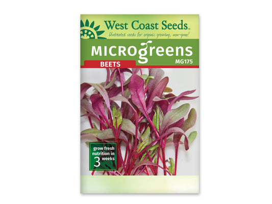 Microgreen Beets