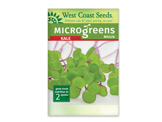 Microgreen Kale
