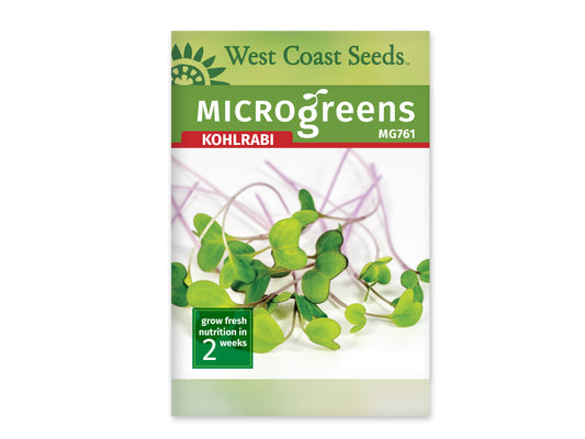 Microgreen Kohlrabi Purple Vienna