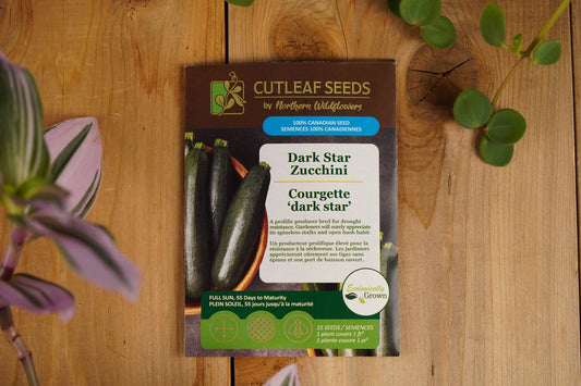 Zucchini Dark Star