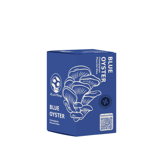 Blue Oyster Mushroom Kit