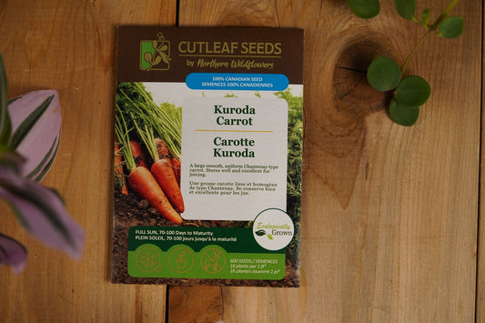 Carrot, Kuroda