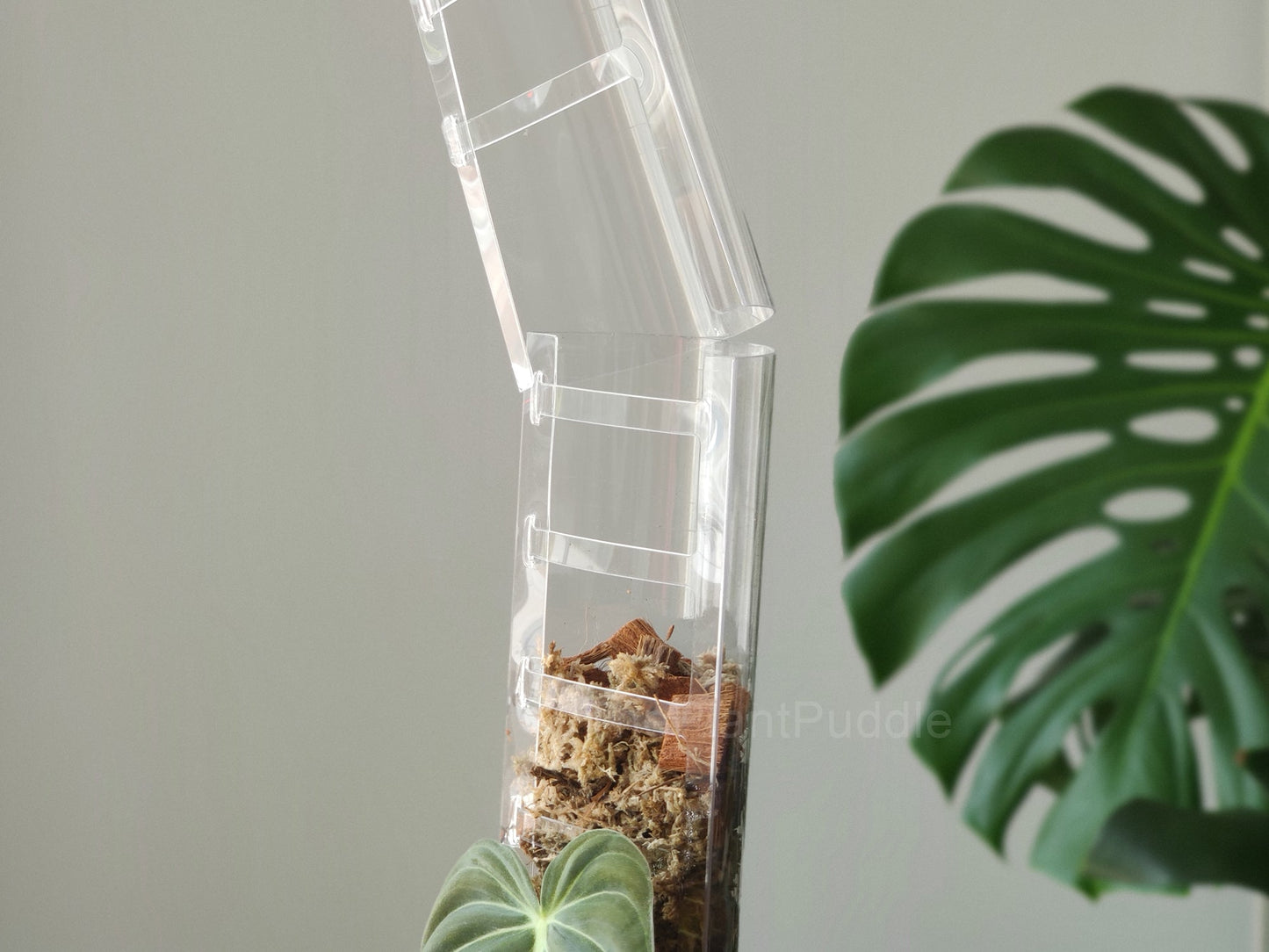 Front Opening Moss Pole - Clear Durable Plastic