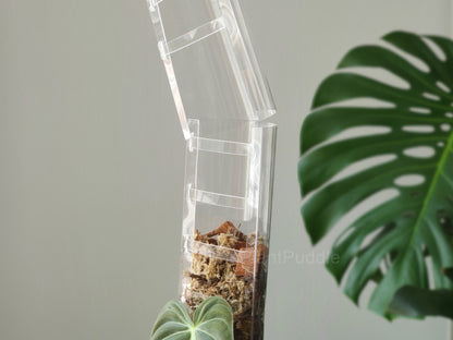 Front Opening Moss Pole - Clear Durable Plastic