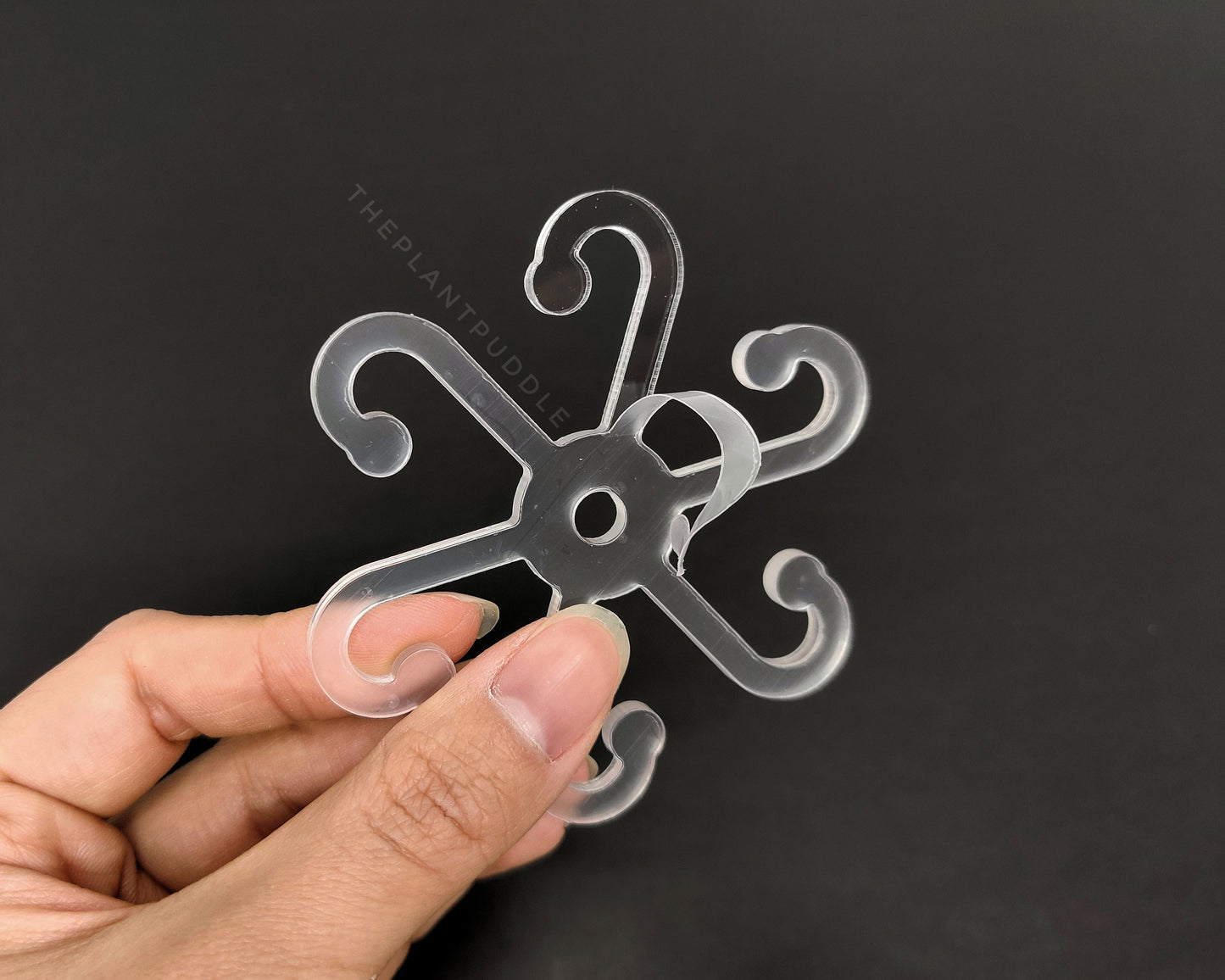 Plant Stem Holder - 6 Arms For Supporting Petioles