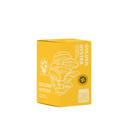 Golden Oyster Mushroom Kit