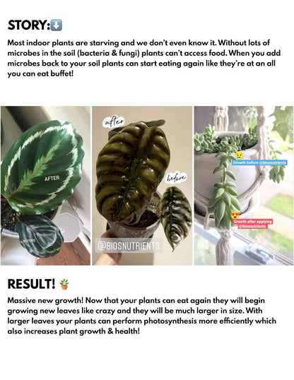 Bios Natural Plant Fertilizer