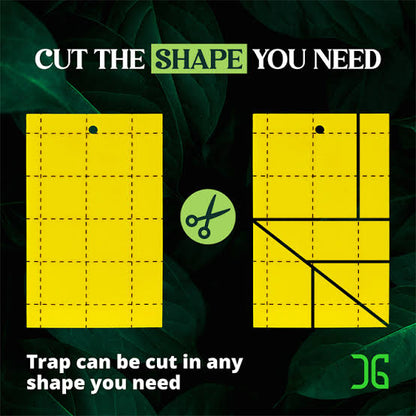 Insect Traps, Double-Sided Sticky Card, Yellow