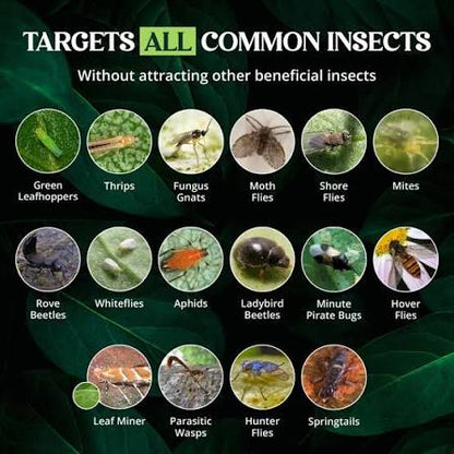 Insect Traps, Double-Sided Sticky Card, Yellow