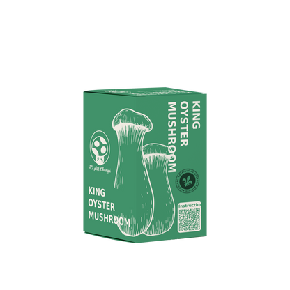 King Oyster Mushroom Kit