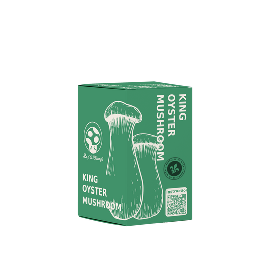 King Oyster Mushroom Kit