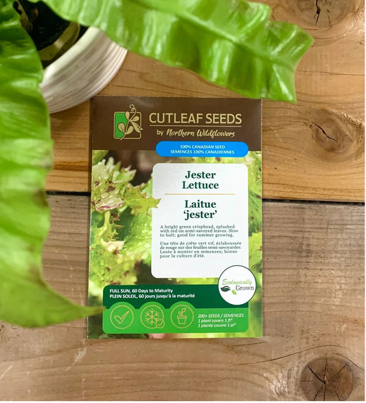 Lettuce, Jester