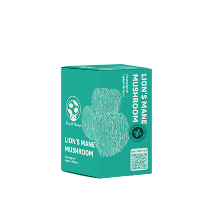 Lion's Mane Mushroom Kit