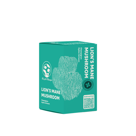 Lion's Mane Mushroom Kit