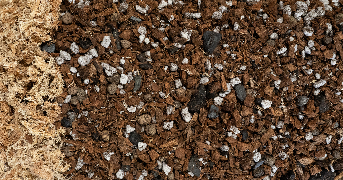 Forbidden Cereal Soilless Houseplant Potting Mix