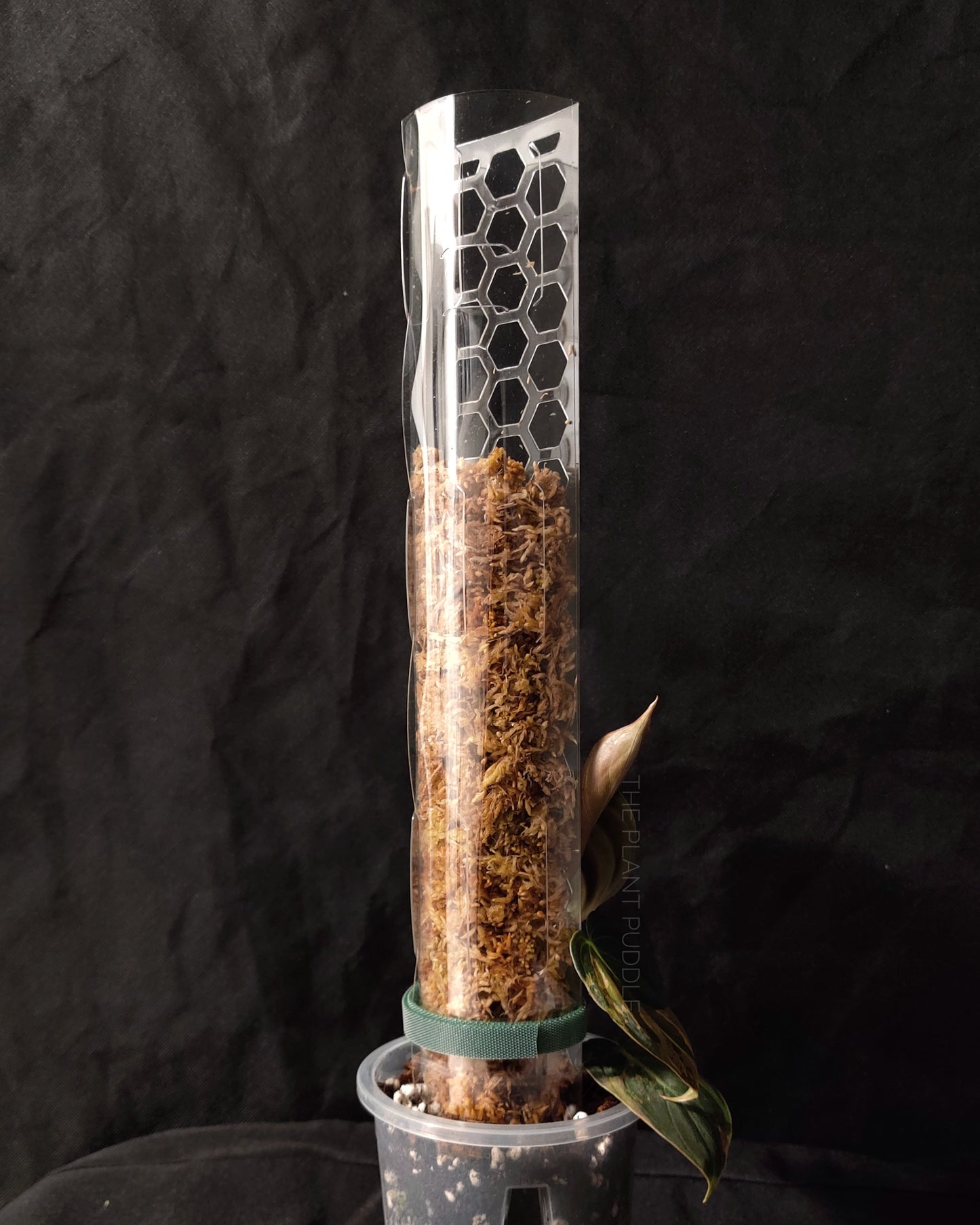 Moss Pole - Super Clear and Stackable