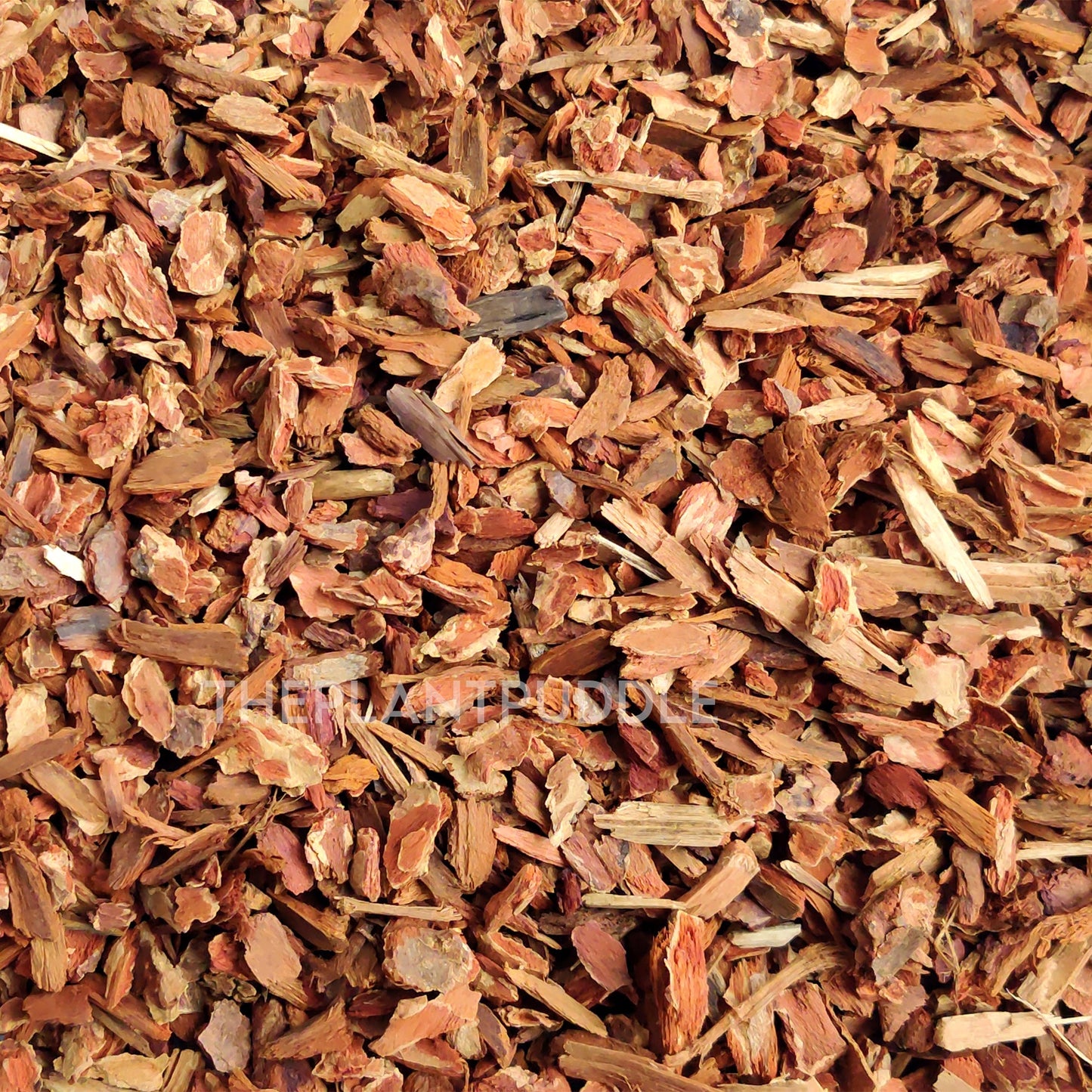 Orchid Bark - Heat Treated Douglas Fir