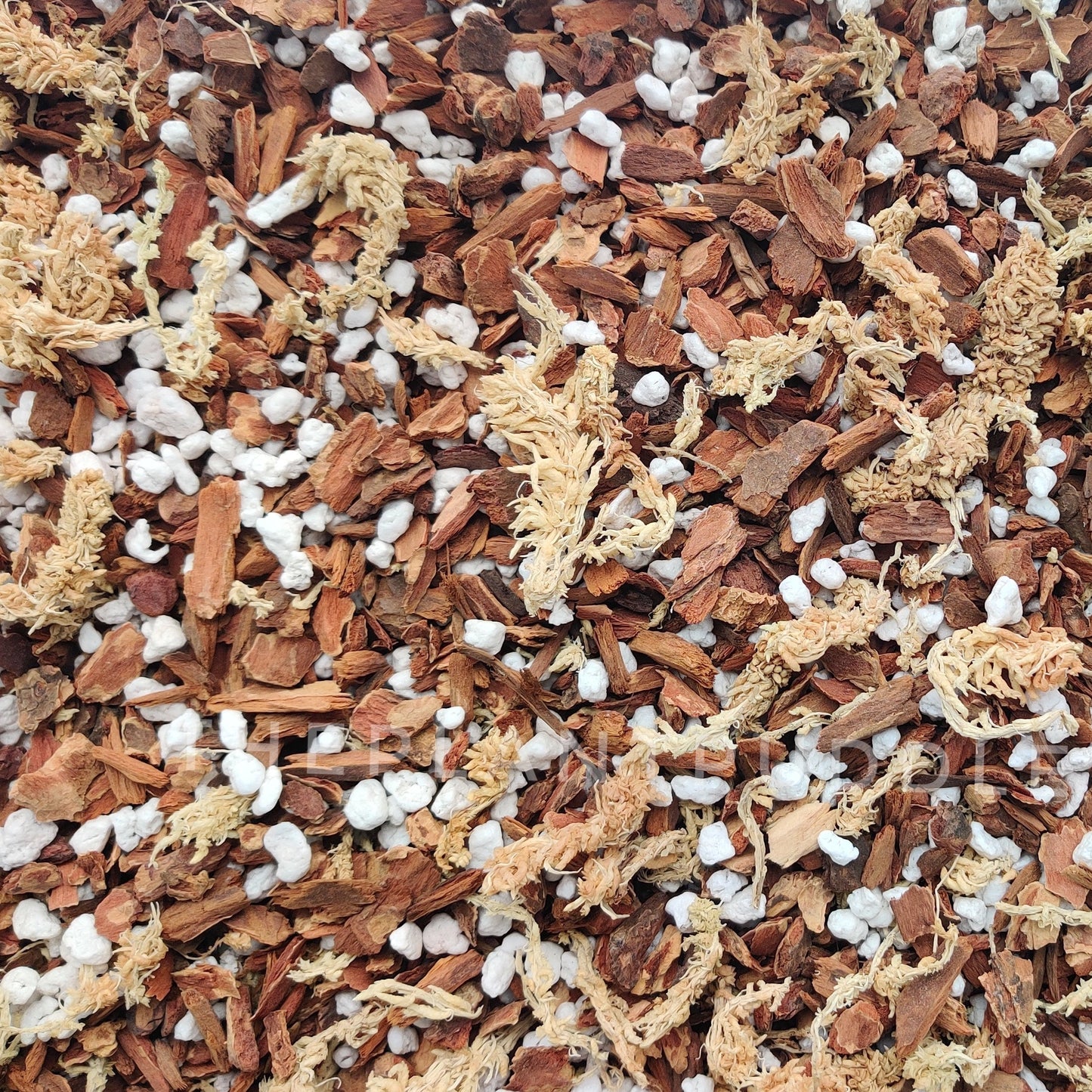 Orchid Potting Mix - A General Mix For Phalaenopsis Orchids