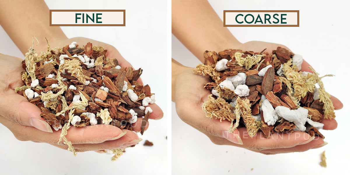 Orchid Potting Mix - A General Mix For Phalaenopsis Orchids