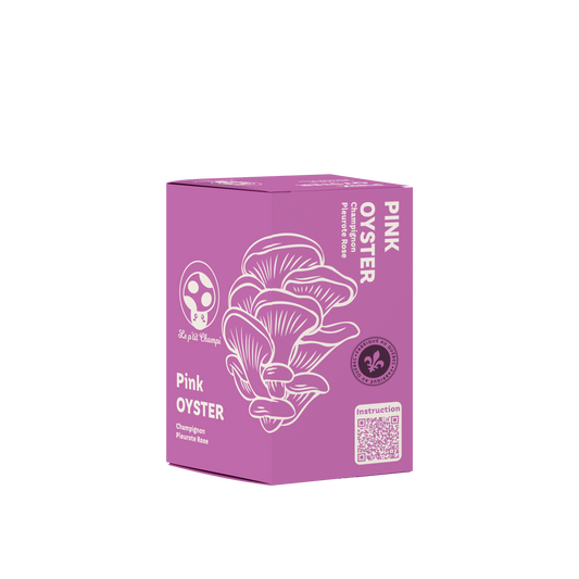 Pink Oyster Mushroom Kit