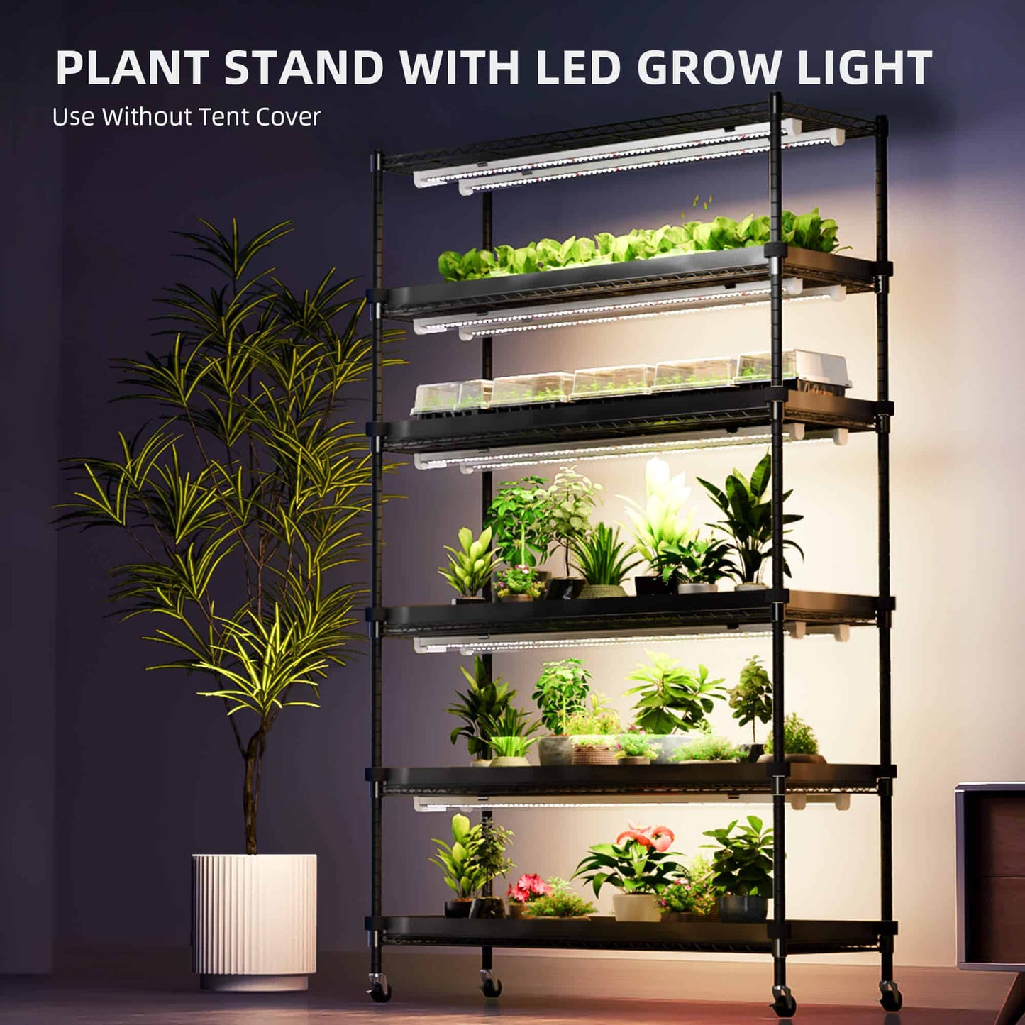 6 Tier Plant Stand With Grow Lights 220W , Plant Shelf with 1680D Grow Tent for Indoor Plant and Greenhouse