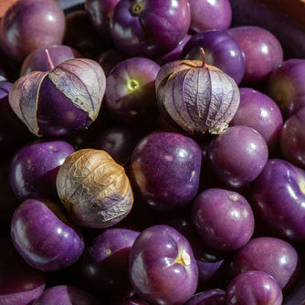 Tomatillo Purplekeepers